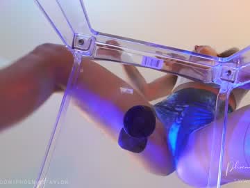 girl cam phoenix_taylor image #3342143