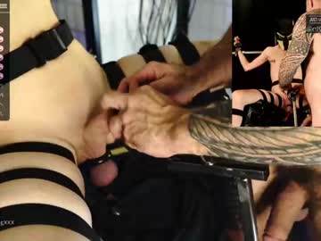 man cam muscle_dog image #52568