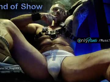 man cam muscle_dog image #23949