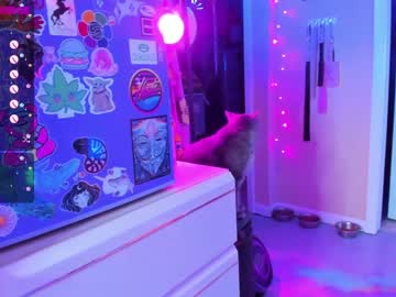 girl cam daphnemadison image #1792175