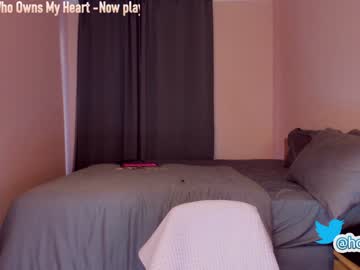 girl cam hollyextra image #1677836