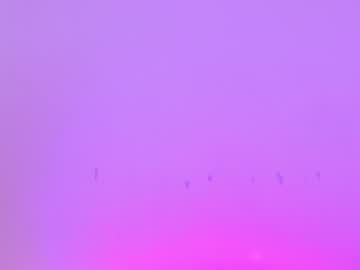 girl cam sapphirealice image #425507