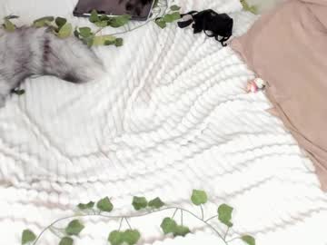 girl cam _servuss_ image #1512233