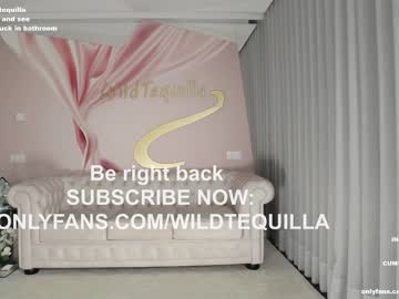 girl cam wildtequilla image #3216439