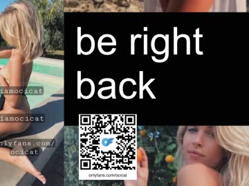 girl cam ocicat image #3878952