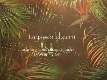 girl cam phoenix_taylor image #1984635