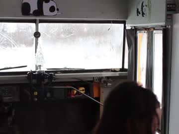 couple cam busbuddies image #4011111