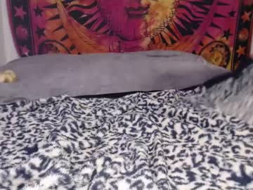couple cam thingschangeletit image #4374307