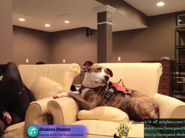 couple cam honeyand_thebear image #249406