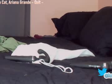 girl cam hollyextra image #1506368
