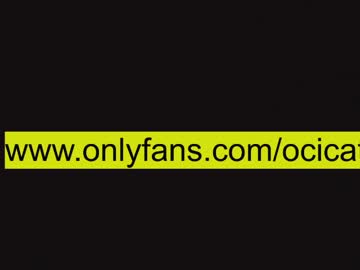 girl cam ocicat image #2042258