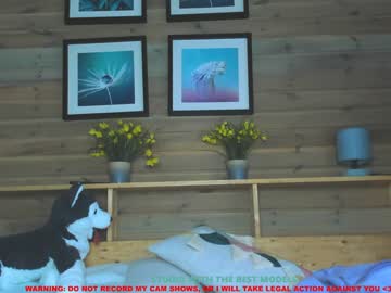 girl cam coy_amina image #379870