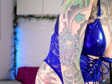 girl cam harliequinnx image #4083531