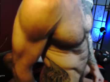 man cam muscle_dog image #176550