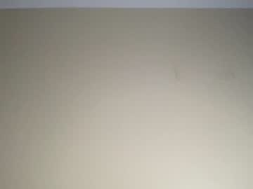 couple cam alphazack14 image #4218779