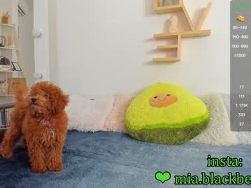 girl cam _blaackberry image #766138