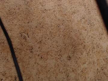 girl cam incrediblyomelia image #2555025