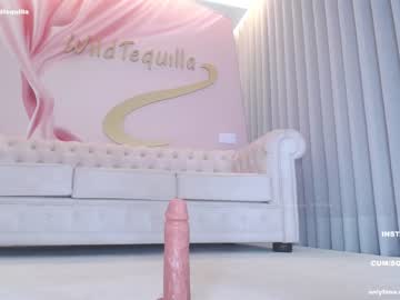 girl cam wildtequilla image #3749057
