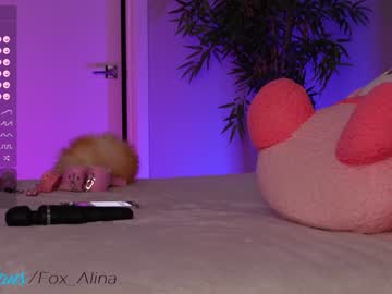 girl cam fox_alina image #4599996