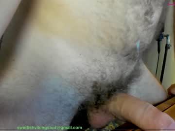 man cam swedishvikingstud image #239630
