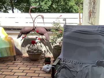 girl cam gl1tter_barbie image #744135
