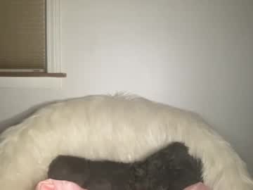 girl cam miss_savannah image #805326
