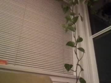 girl cam bambis_honeypot image #614053