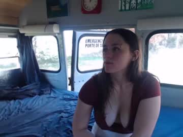 couple cam busbuddies image #232618