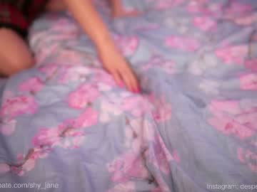 girl cam shy_jane image #3425551