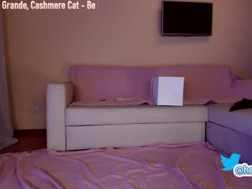 girl cam hollyextra image #1693836