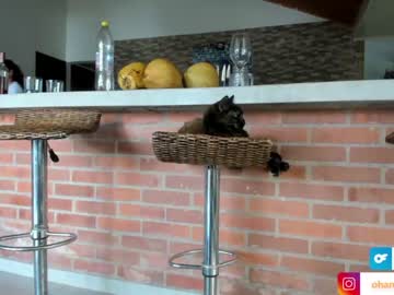 girl cam ohanna_ image #1181401