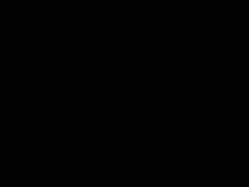 domtographer  cam
