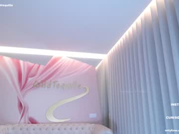 girl cam wildtequilla image #3816244