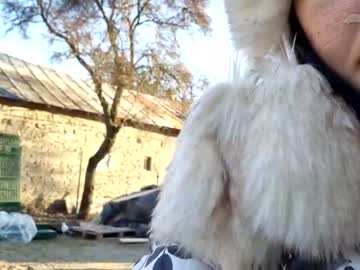 girl cam 2whitediamonds image #710868