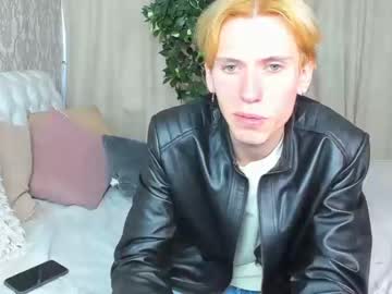 skyfenixs  cam