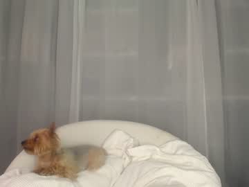 girl cam eevie_moon image #2711122