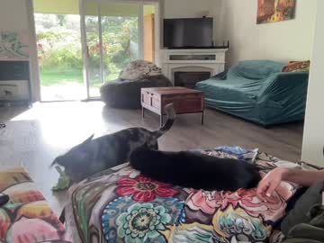 girl cam kaileeshy image #1402654