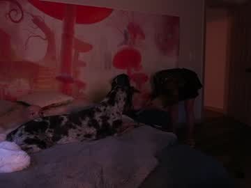 girl cam kaileeshy image #1723846