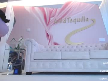 girl cam wildtequilla image #3593699