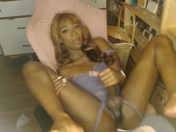 tranny cam vanniall image #3883440