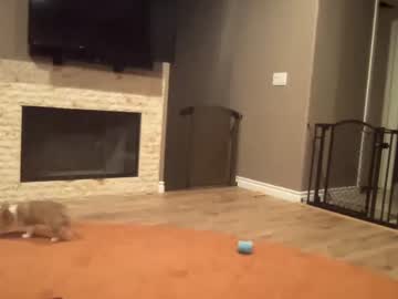 girl cam hiddenr0se image #3453829