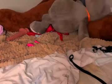 girl cam _elisfox image #926228