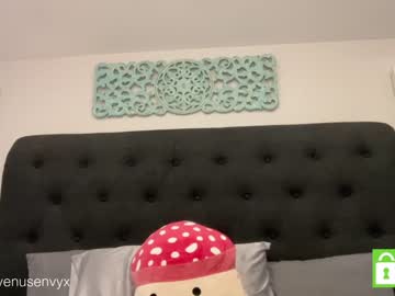 girl cam venusenvyx image #3000559
