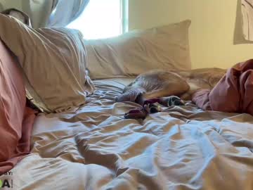 girl cam cxbraj image #4415472