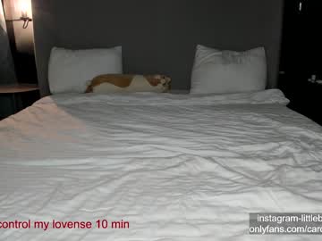 girl cam carolinaherera image #4480650