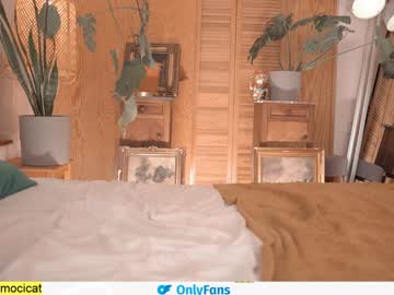 girl cam ocicat image #1439957