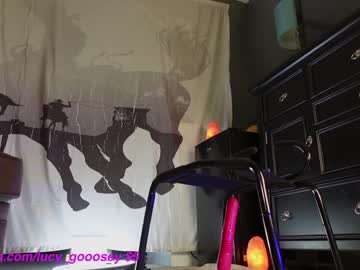 girl cam lucy_gooosey image #3835944