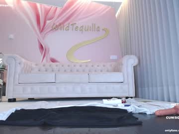 girl cam wildtequilla image #3188861