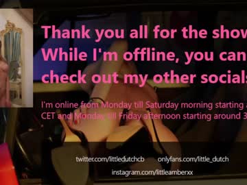 girl cam little_dutch image #1729250